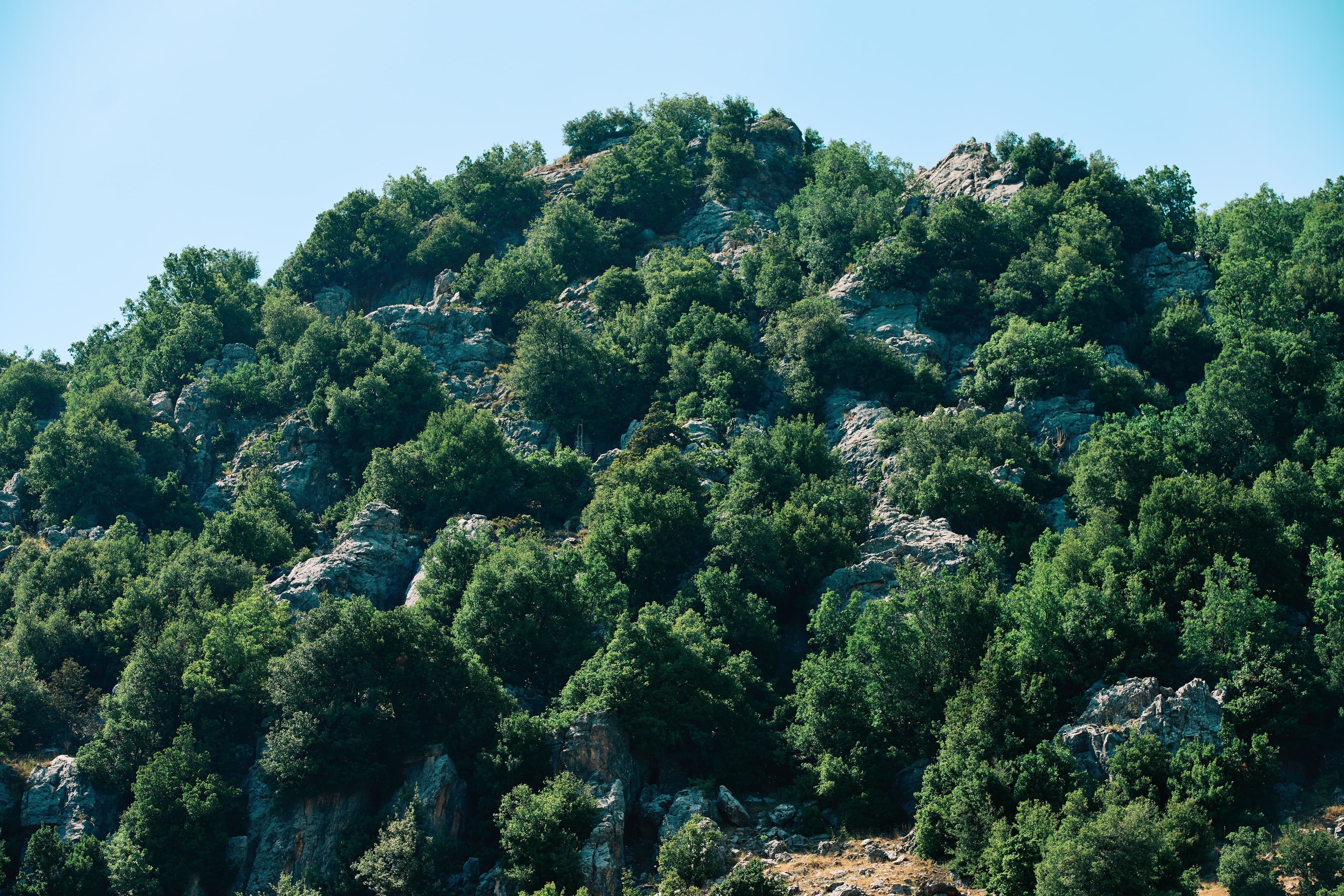 Lebanon landscape from a Cedera field visit